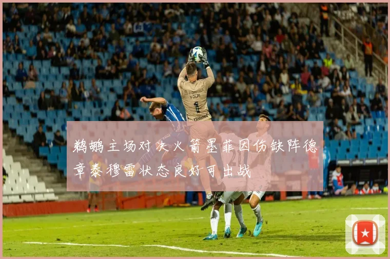 鹈鹕主场对决火箭墨菲因伤缺阵德章泰穆雷状态良好可出战